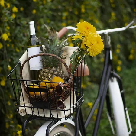 Holiday home Tenuta Monteoliveto - Romantic - Nelle Langhe Vesime
