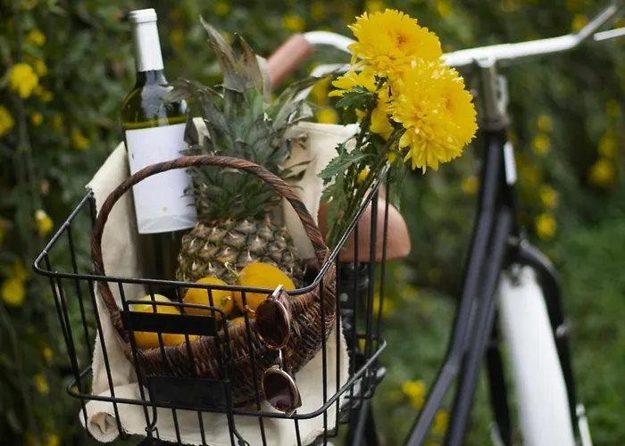 Holiday home Tenuta Monteoliveto - Romantic - Nelle Langhe Vesime